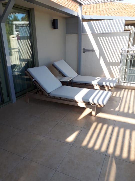 Zimmer Arum Barut Collection