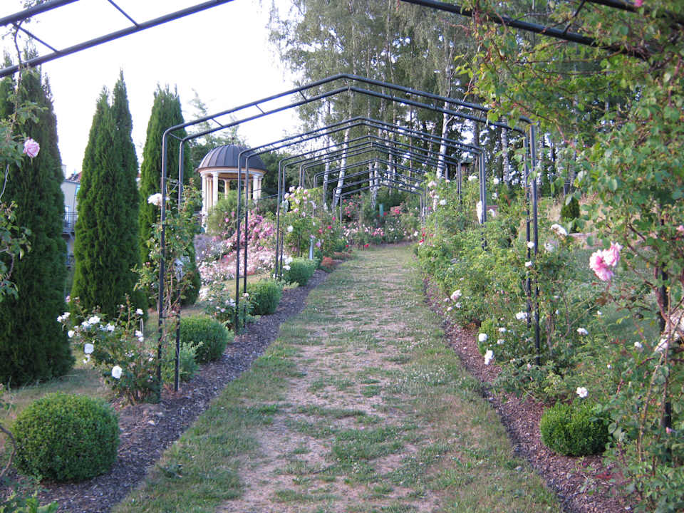 Gartenanlage Spirit & SPA Hotel Birkenhof am Elfenhain