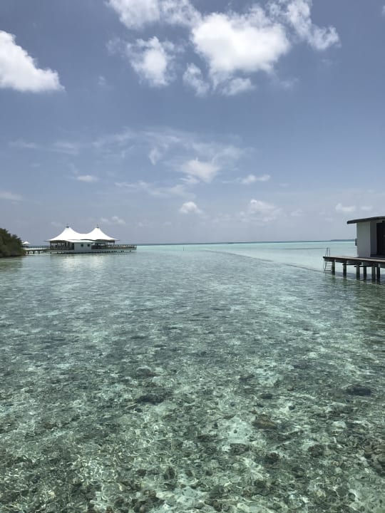 Strand Cinnamon Hakuraa Huraa Maldives