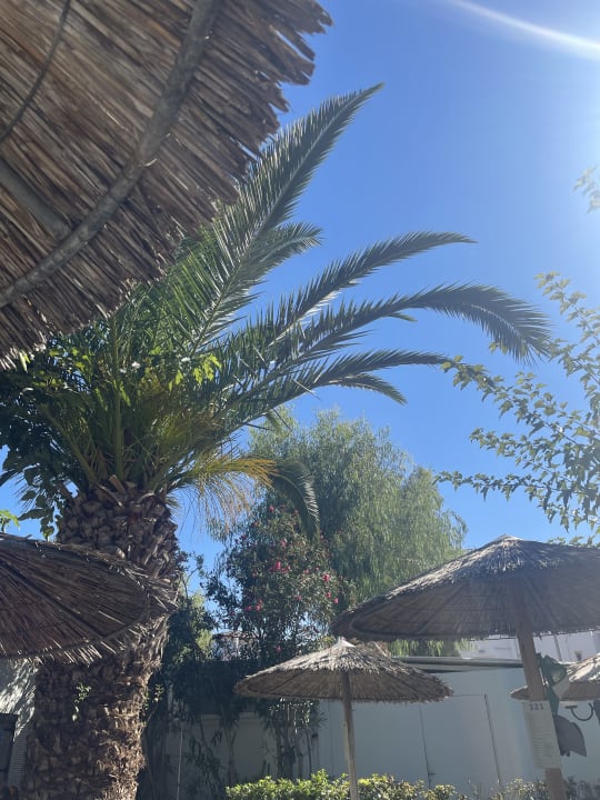 Gartenanlage Corissia Beach Hotel