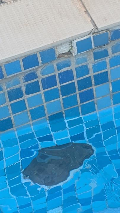 Pool Grand Hyatt Dubai