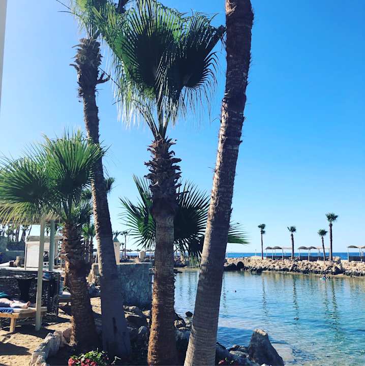 Strand Pickalbatros Citadel Resort