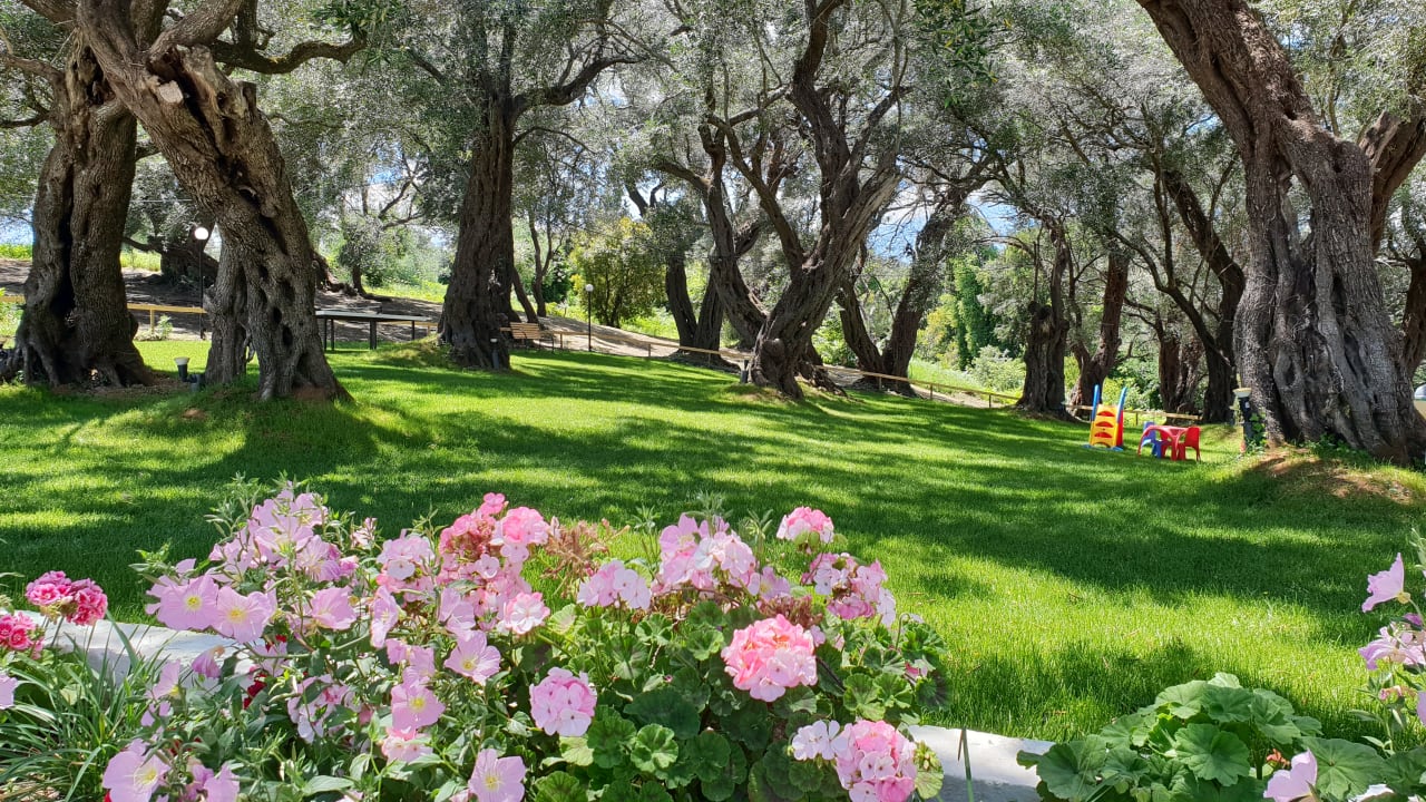 Gartenanlage Hotel Yannis Corfu