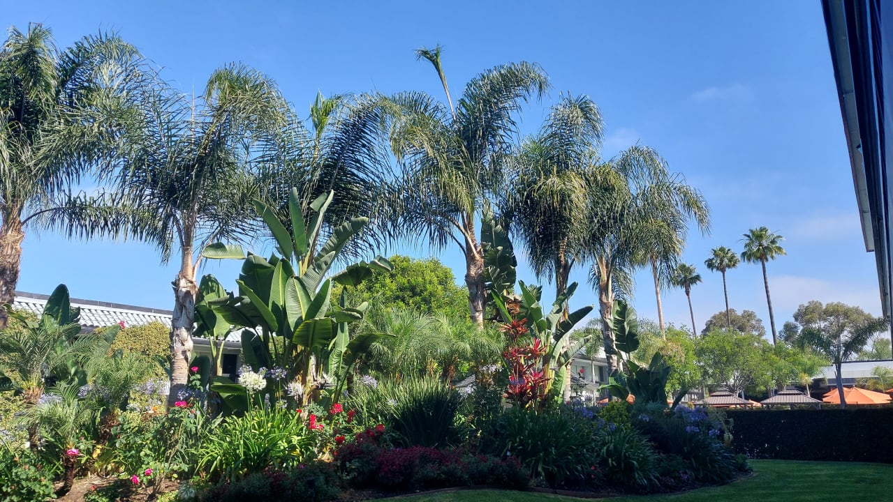 Gartenanlage Palm Garden Hotel