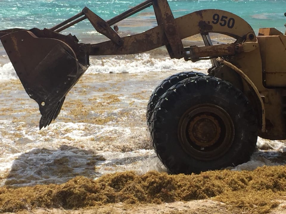 Strand Vik Hotel Arena Blanca & Cayena Beach