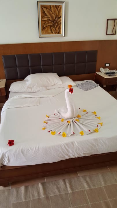 Mohammed der Künstler!!  Pickalbatros Alf Leila Wa Leila Resort - Neverland Hurghada