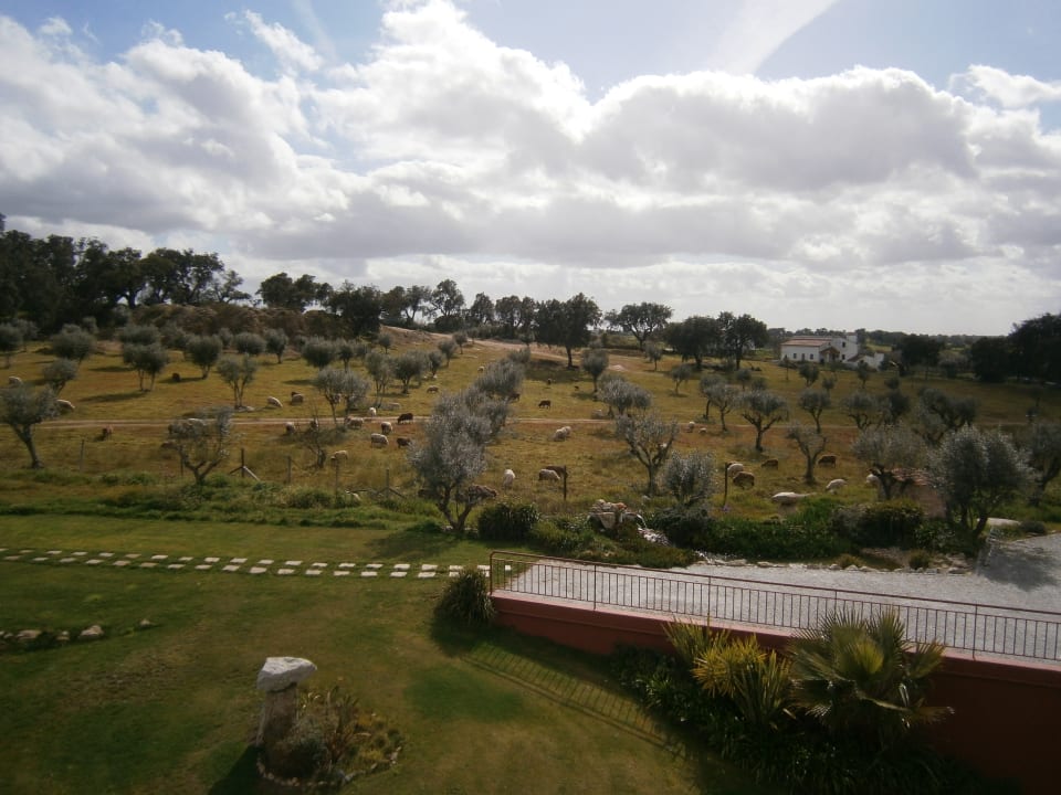 Ausblick Monte Filipe Hotel & Spa