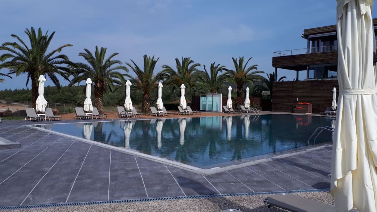 Pool Blue Dolphin Resort Hotel
