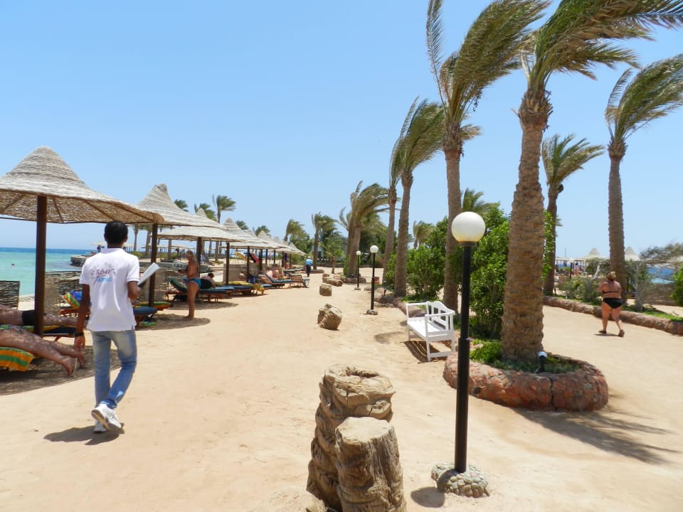 Plaża Arabia Azur Resort