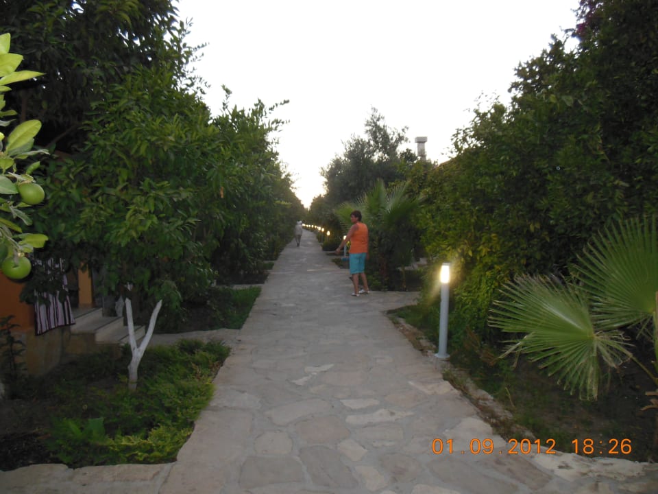 Weg durch die Bungalowanlage Özlem Garden Hotel