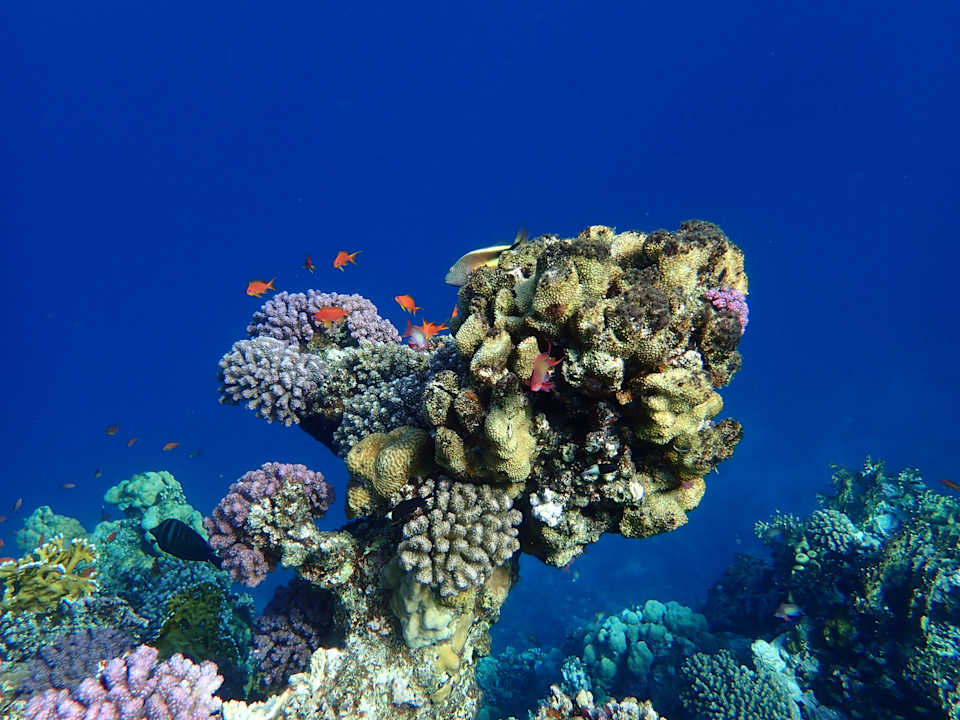 Sport & Freizeit Beach Safari Nubian Resort