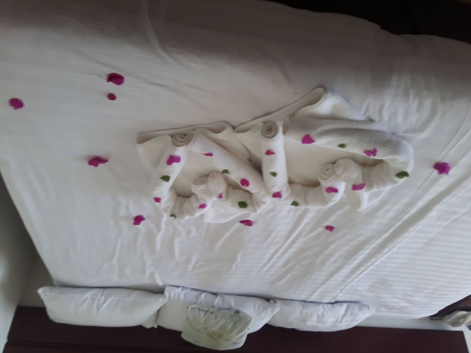 Kreativer Roomboy Three Corners Equinox Beach Resort