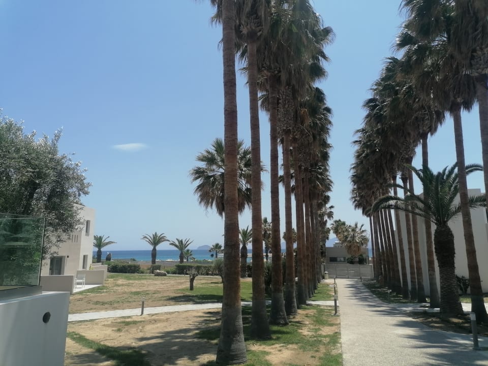 Gartenanlage Porto Bello Beach