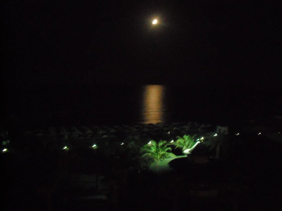 Das Meer nachts Selectum Family Comfort Side