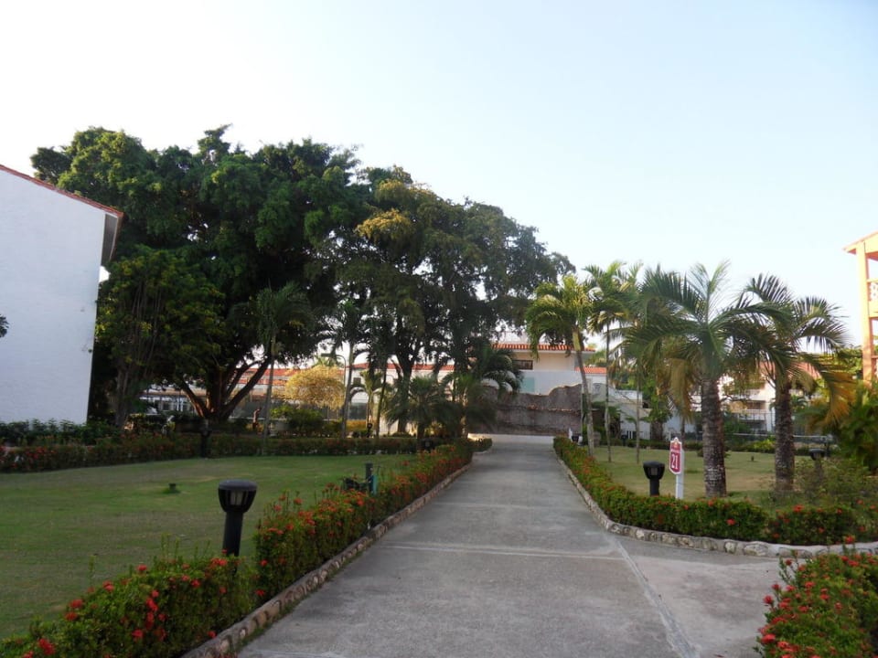 Teil des Gartens Emotions by Hodelpa Puerto Plata