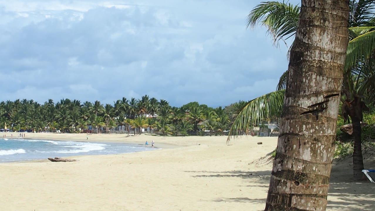 Strand Viva Tangerine by Wyndham - All Inclusive Resort