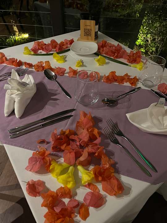 Gastro Lagoon Attitude - Adults only