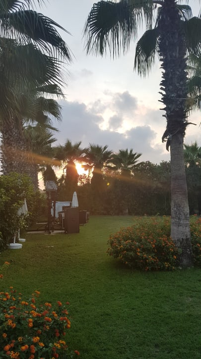 Gartenanlage Saturn Palace Resort Hotel