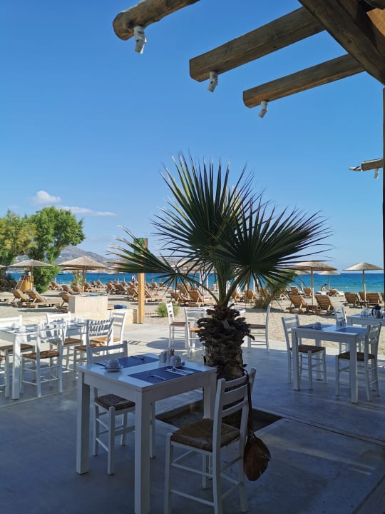 Gastro Paralos Lifestyle Beach