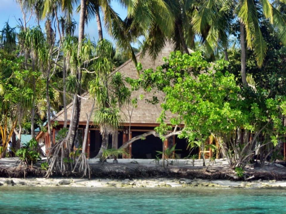 Restaurant/Bar Vilamendhoo Island Resort & Spa