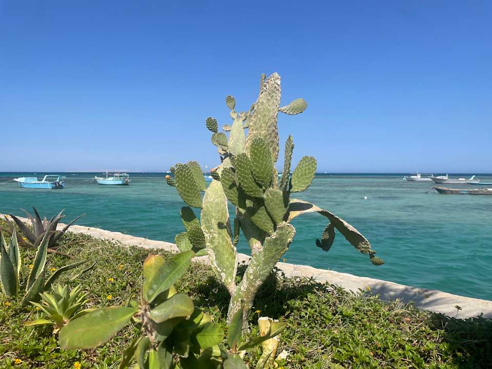 Strand Meraki Resort (Adults Only)