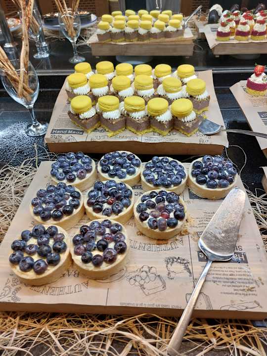 Gastro Seashell Vega