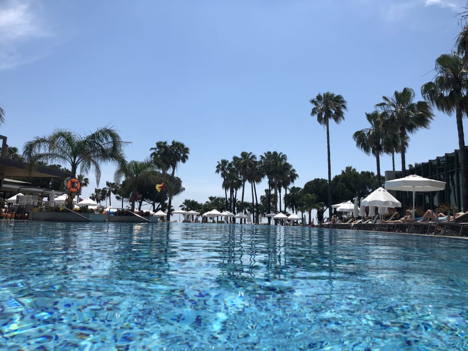 Pool Acanthus Cennet Barut Collection