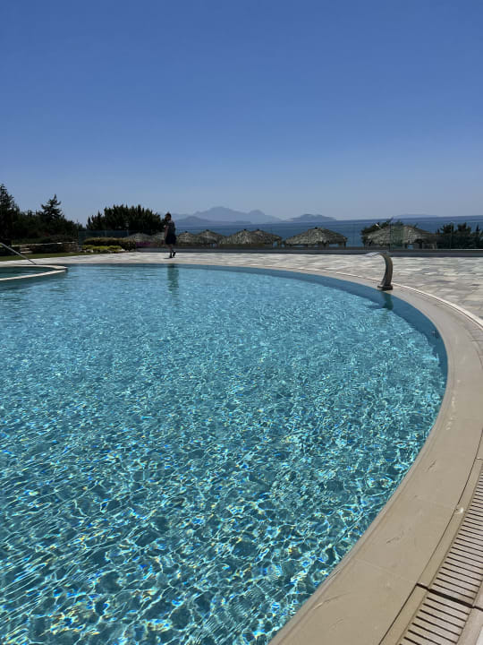 Pool ROBINSON DAIDALOS
