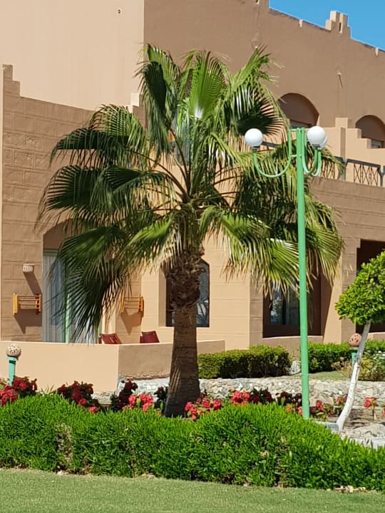 Gartenanlage Sentido Akassia Beach