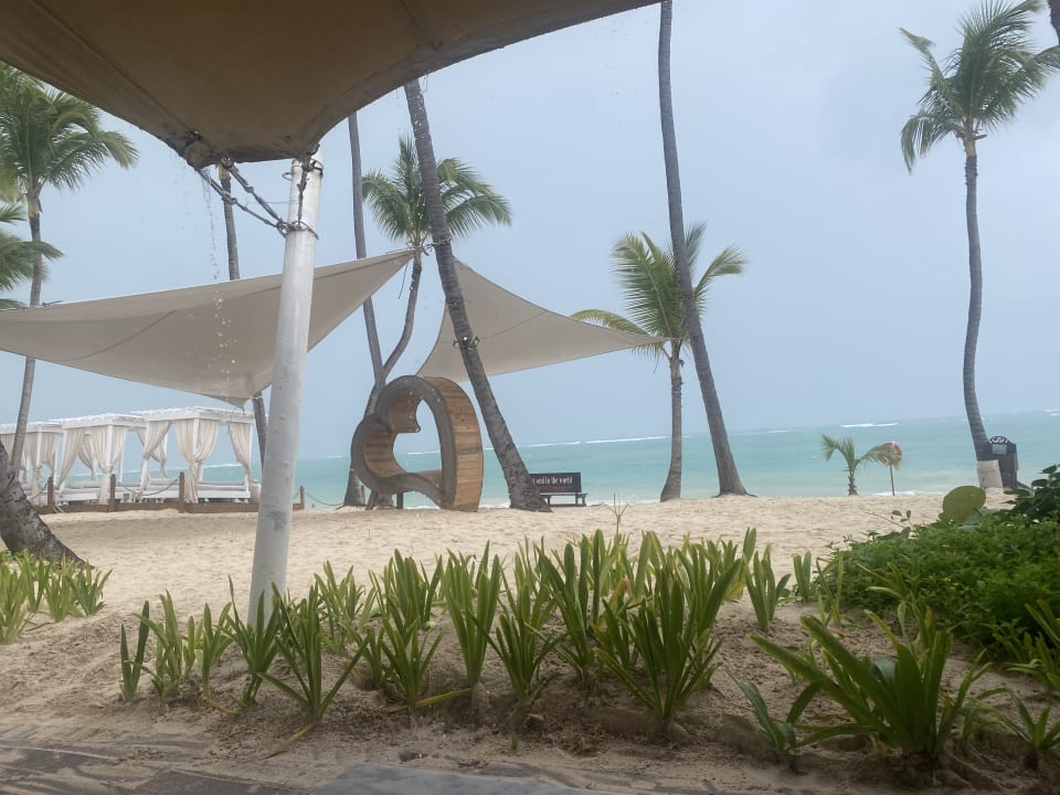 Gastro TRS Turquesa Hotel - Adults only