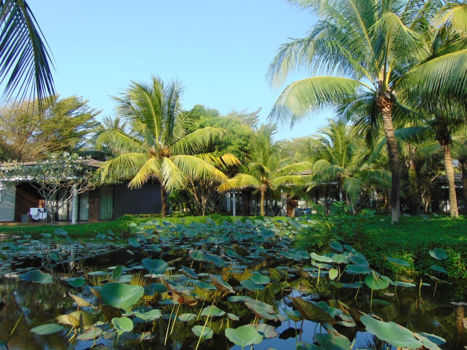 Gartenanlage Novotel Phu Quoc Resort