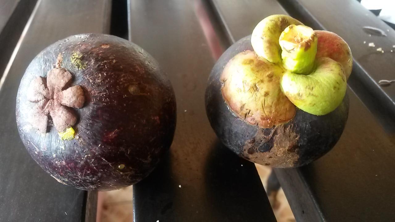 Lecker La Flora Khao Lak