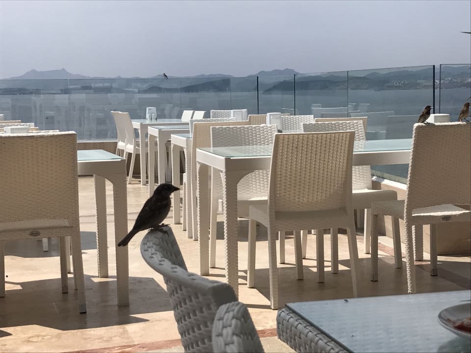 Restaurant Bodrum Holiday Resort & Spa