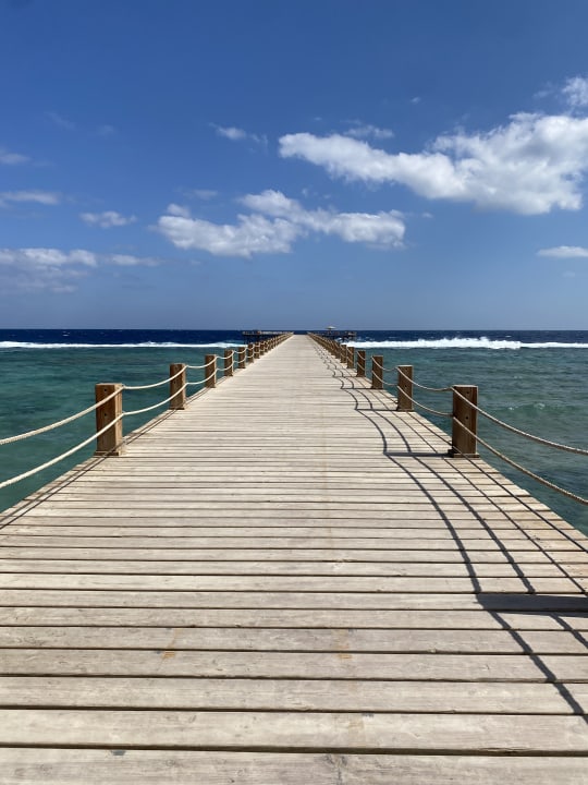 Strand Pickalbatros Sea World Resort - Marsa Alam