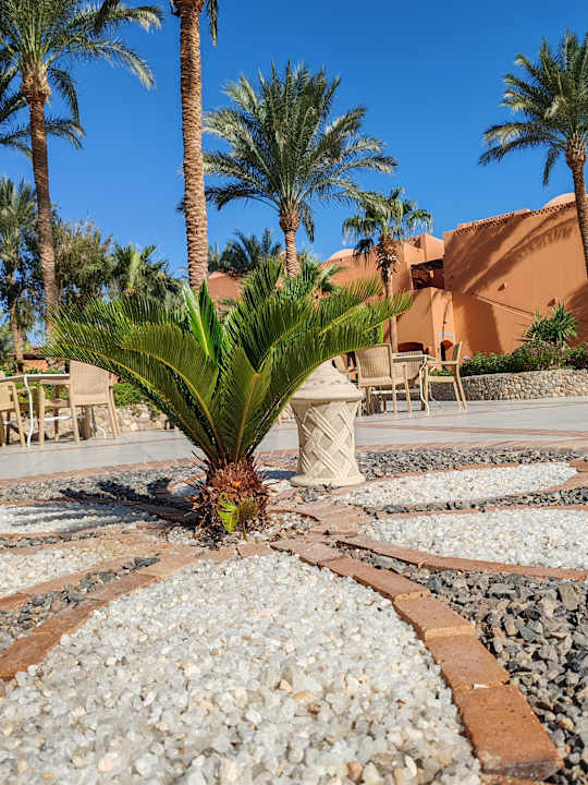 Ausblick Jaz Makadi Oasis Resort