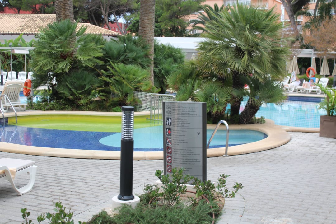 Poolanlage Hotel Riu Bravo