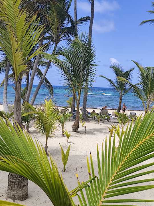 Strand Hotel Riu Palace Bavaro
