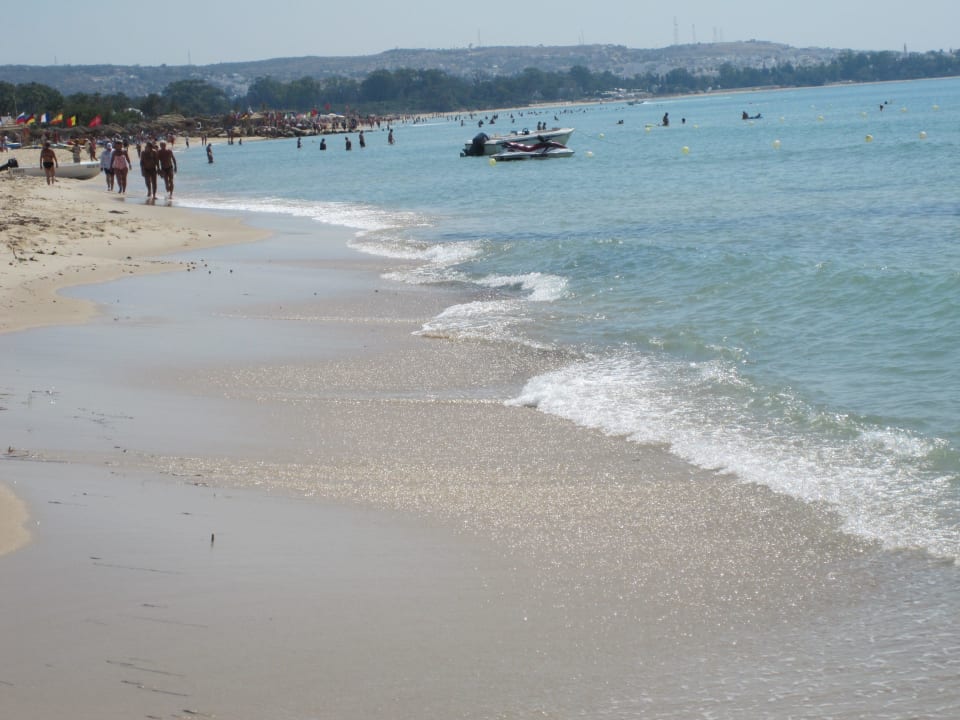 Sauber und ordentlicher Strand Steigenberger Marhaba Thalasso Hammamet