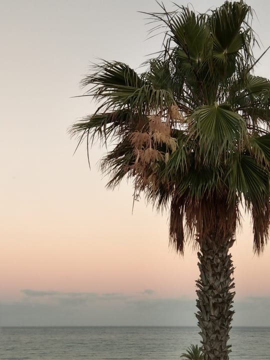 Ausblick HL Sahara Playa