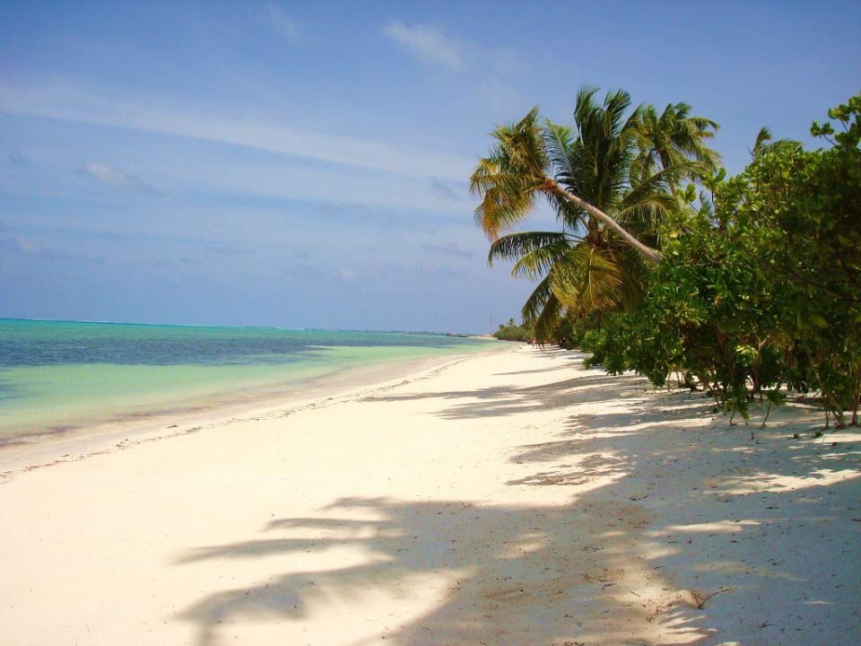 Traumstrand Canareef Resort Maldives