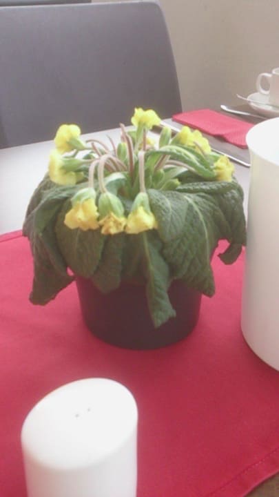 Tischbedeckung All In Red Thermenhotel