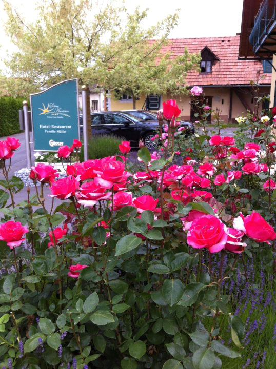 Parkplatz Hotel Garni Schöne Aussichten