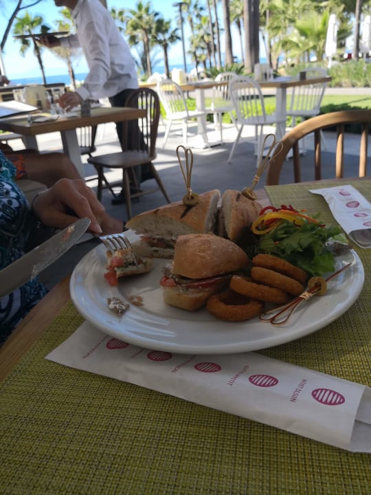 Gastro Acanthus Cennet Barut Collection