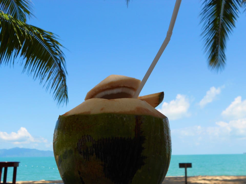 Kokosnuss am Strand Santiburi Koh Samui