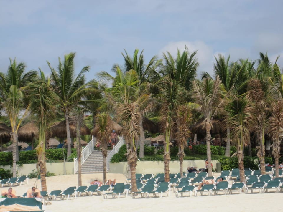 Traumstrand Hotel Riu Tequila