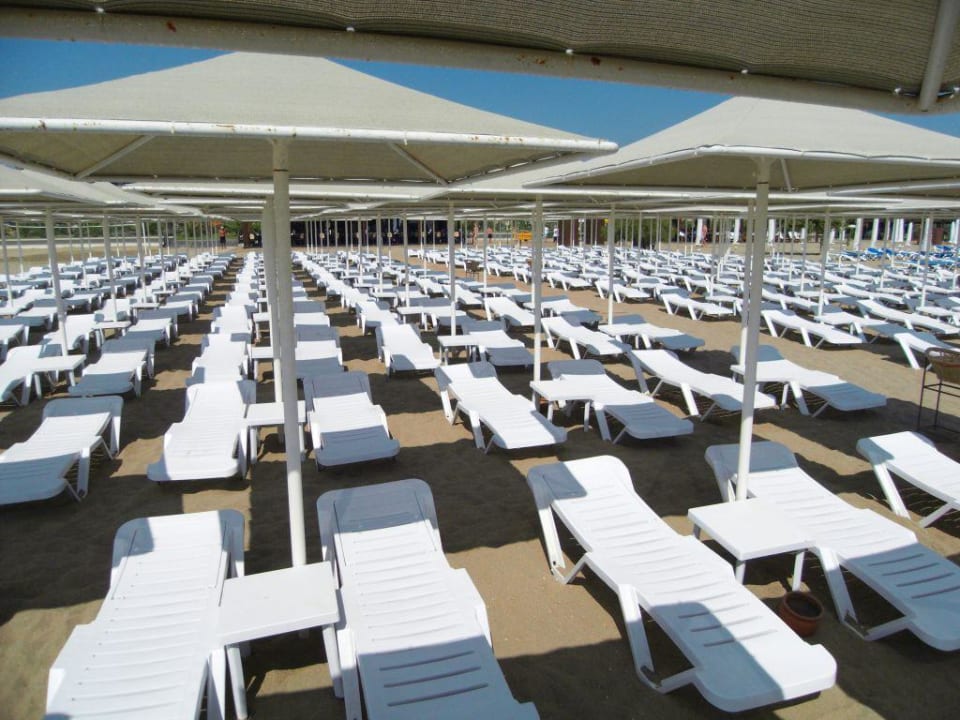Strandliegen Aydinbey Kings Palace & Spa
