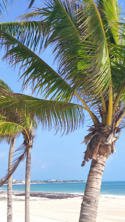 Strand Catalonia Playa Maroma
