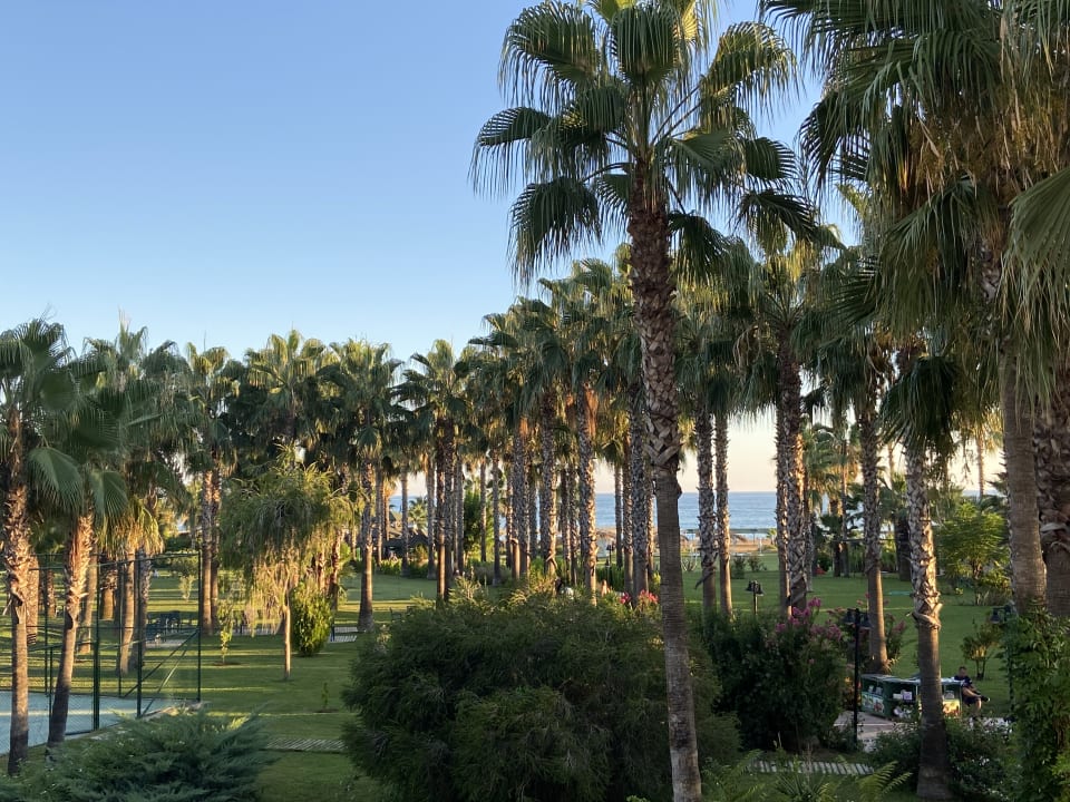 Gartenanlage Royal Atlantis Beach Hotel