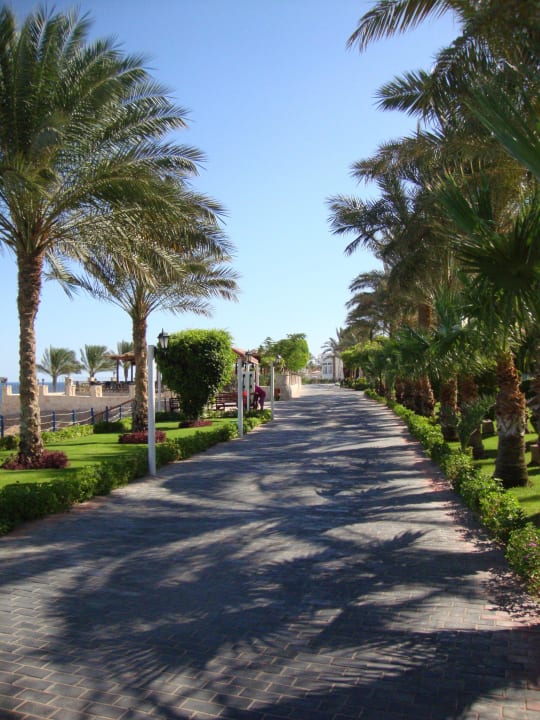 Zielono wszędzie Sultan Gardens Resort