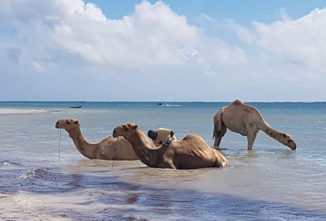 Strand Neptune Village Beach Resort & Spa